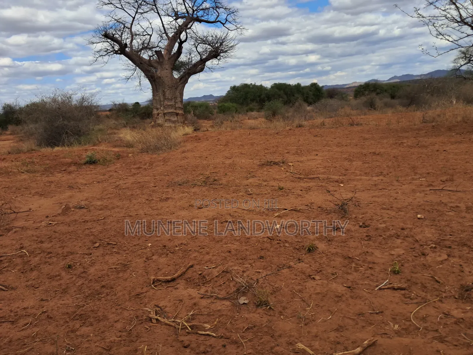 Embu County,Karura 8 Acres Agricultural Farmland.