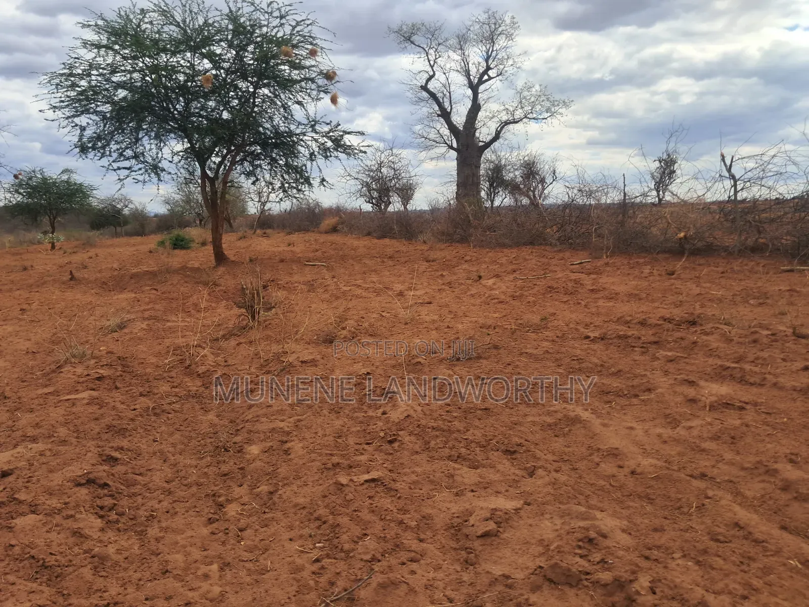 Embu County,Karura 8 Acres Agricultural Farmland.