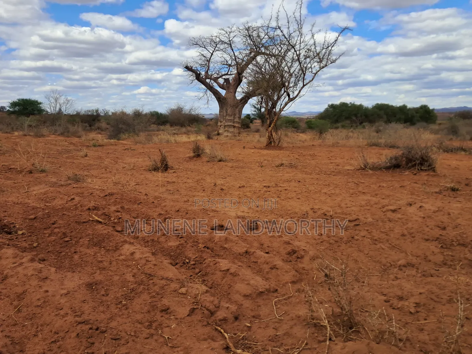 Embu County,Karura 8 Acres Agricultural Farmland.