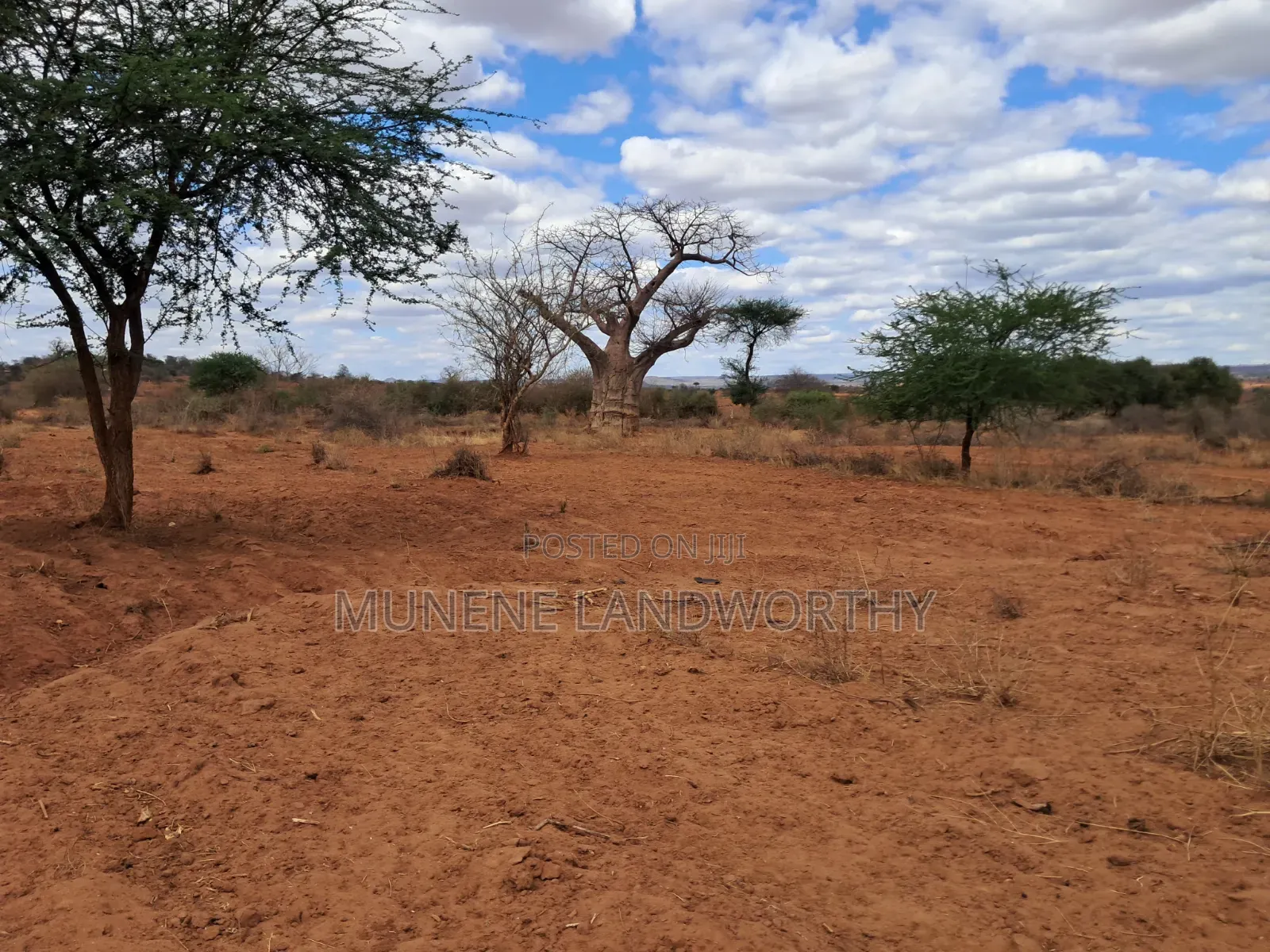 Embu County,Karura 8 Acres Agricultural Farmland.