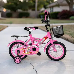 Adventure-Ready Stylish 2-4 Years 12 Inch Size 12 Kids Bike Bicycle