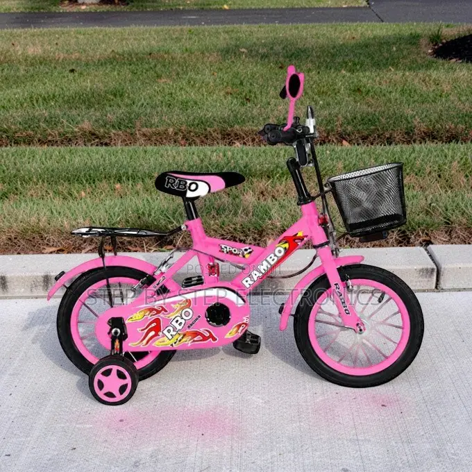 Skill-Enhancing Vibrant 2-4 Years 12 Inch Size 12 Kids Bike Bicycle