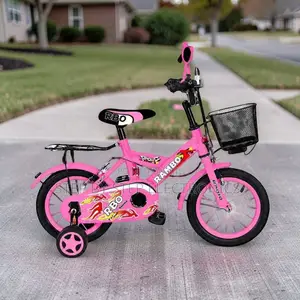Confidence-Building 2-4 Years 12 Inch Size 12 Kids Bike Bicycle