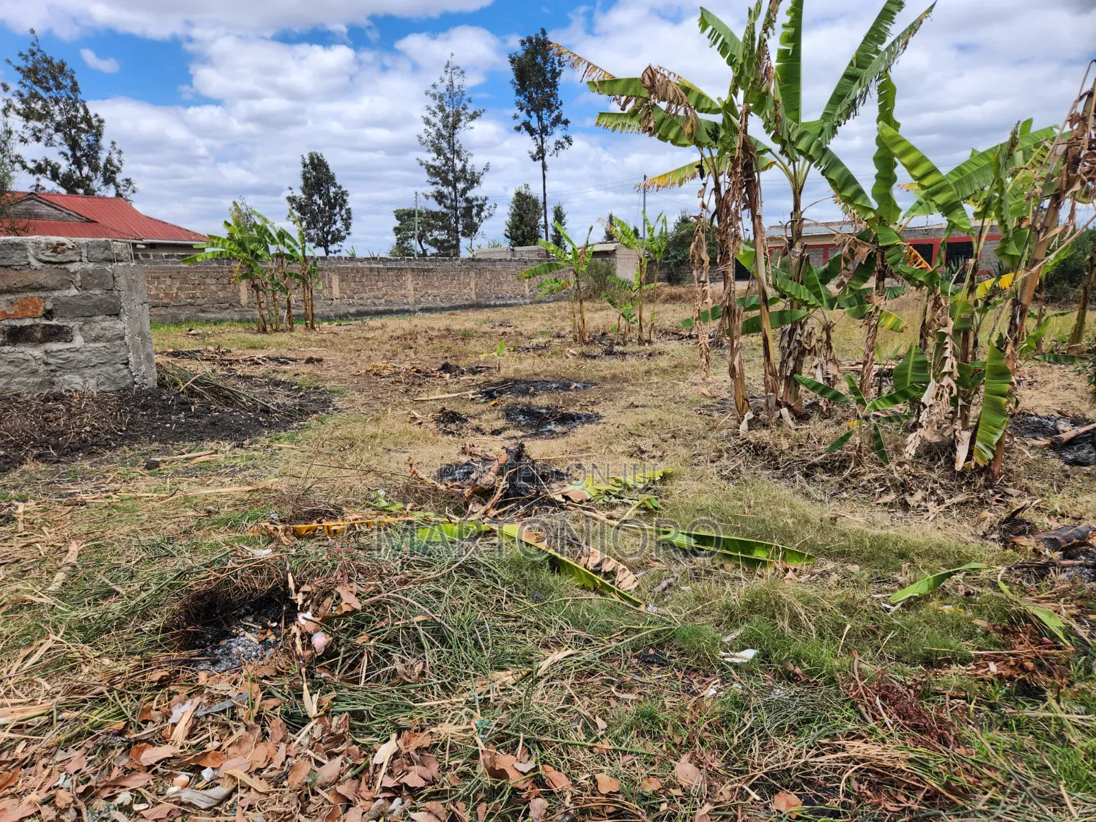 Kigajo Thika 50by100 Plots