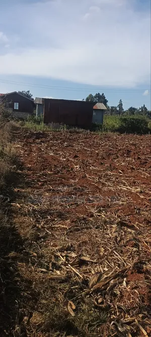 Thogio Kamangu