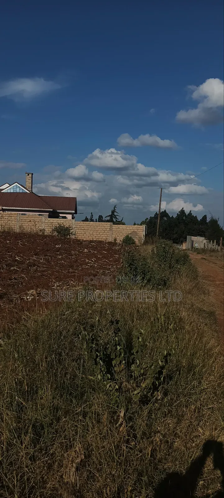 Thogio Kamangu