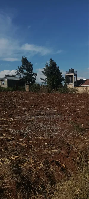Thogio Kamangu