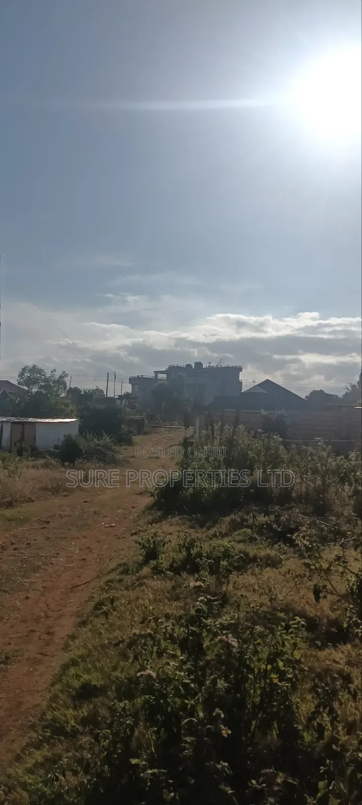 Thogio Kamangu