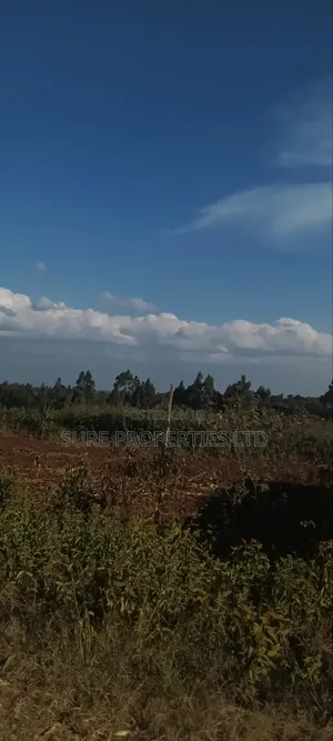 Thogio Kamangu