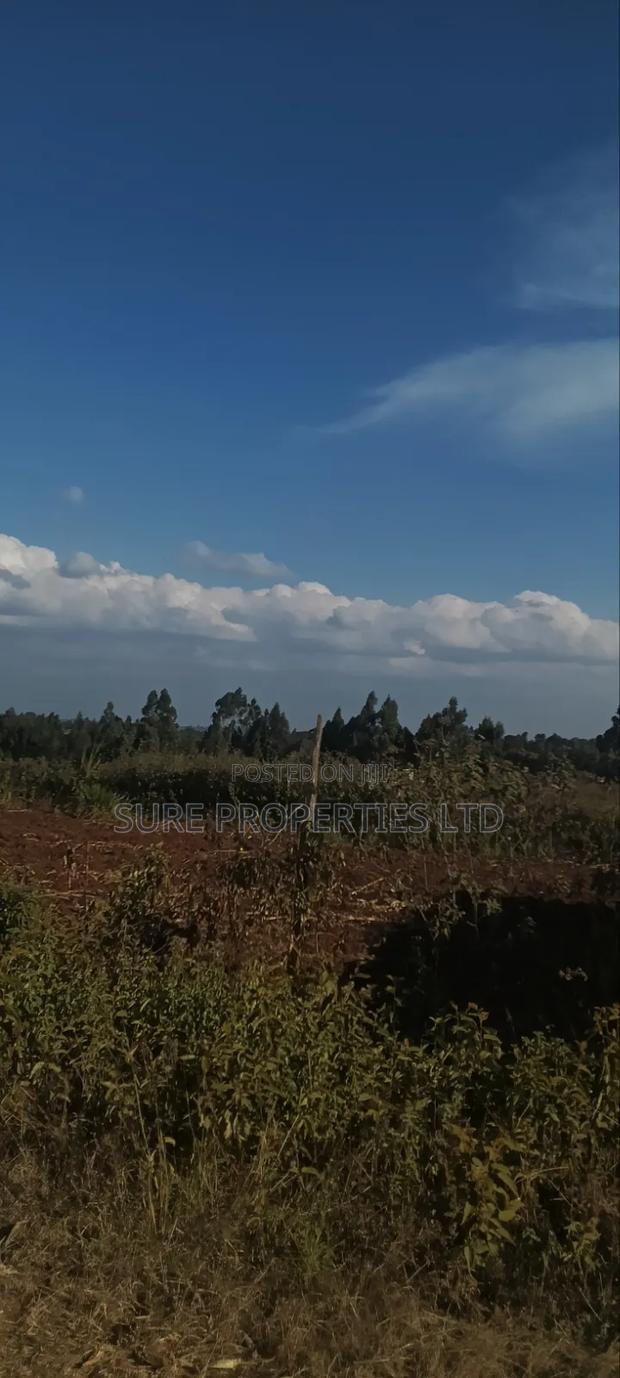 Thogio Kamangu - thumbnail 5