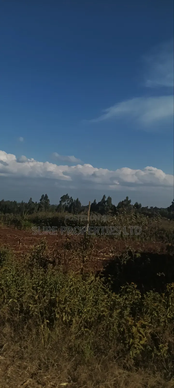 Thogio Kamangu