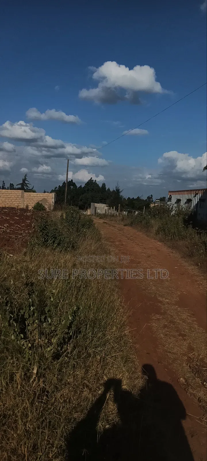 Thogio Kamangu