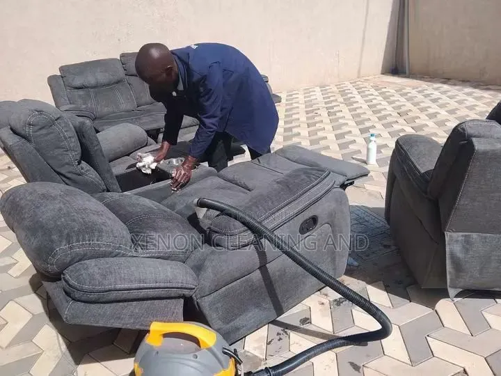 Cleaning and Fumigation Service