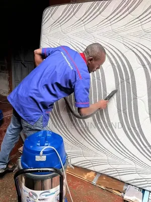 Cleaning and Fumigation Service