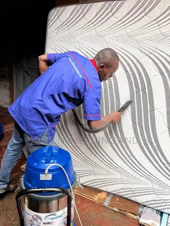 Cleaning and Fumigation Service