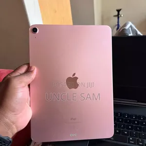 Apple iPad Air 256 GB Pink