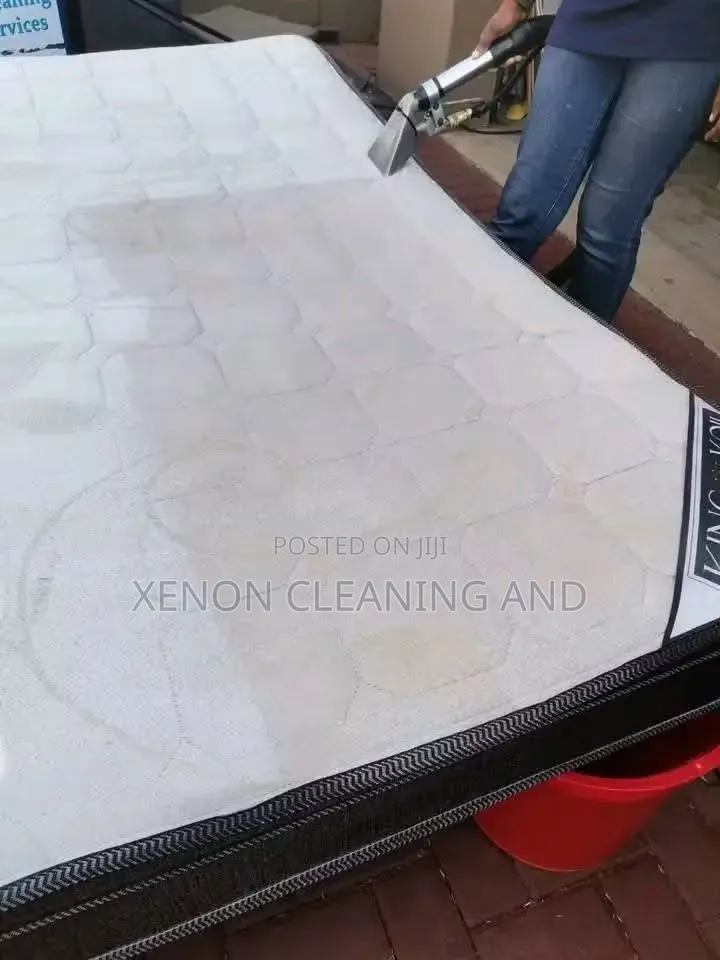 Cleaning and Fumigation Service