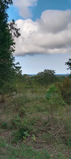 Kwale Breath Taking Land