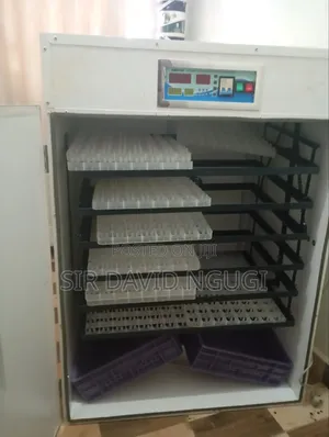 Automatic Egg Incubator