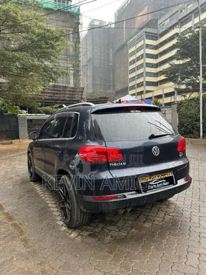 Volkswagen Tiguan 2015 Gray