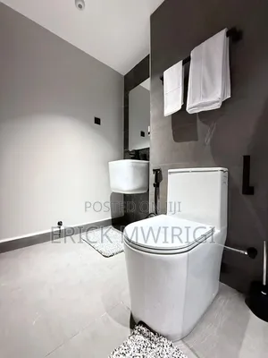Furnished Studio Apartment in Milimani for rent