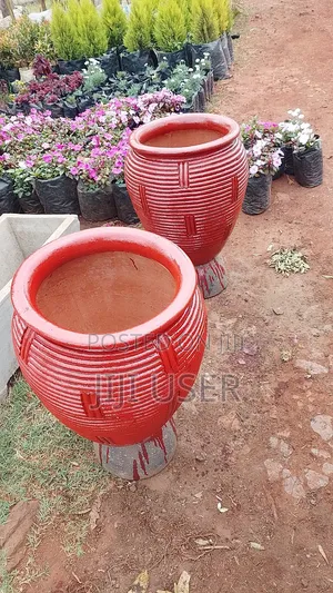 Flower Pots