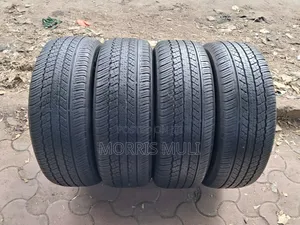 225/60r18 Dunlop