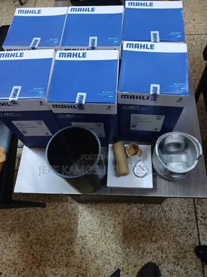 FH Mahle Liner Kit Genuine/Sleeve,piston for Available