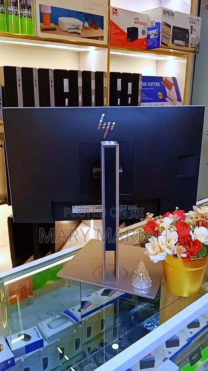 HP Display Monitor