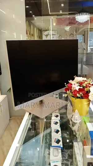 HP Display Monitor