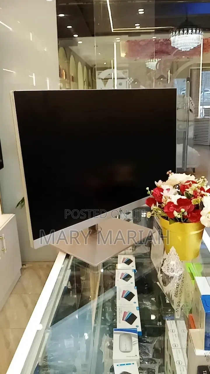 HP Display Monitor