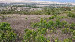 Prime 1-Acre for Sale in Mweiga