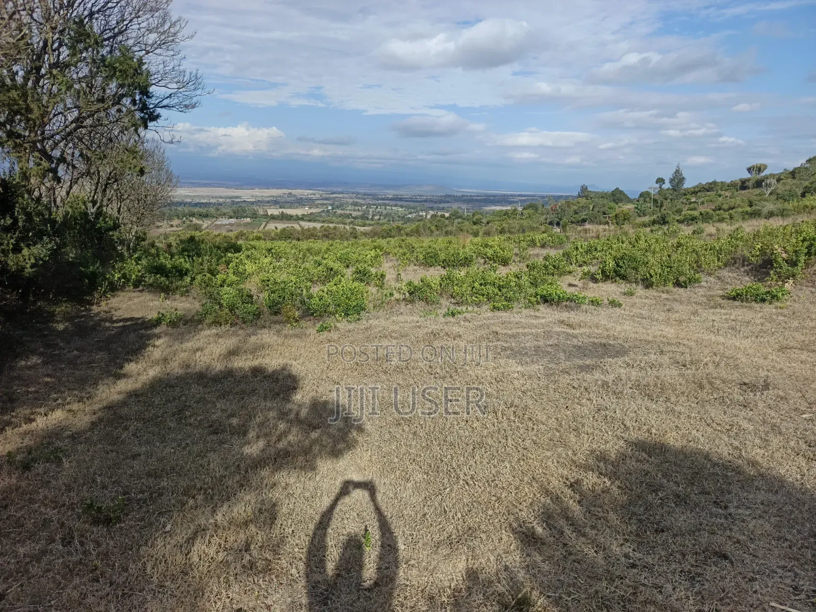 Prime 1-Acre for Sale in Mweiga