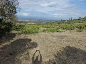 Prime 1-Acre for Sale in Mweiga