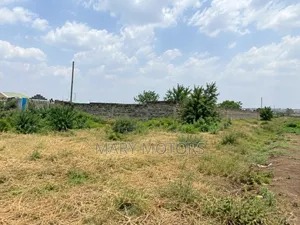 Juja Road Plot