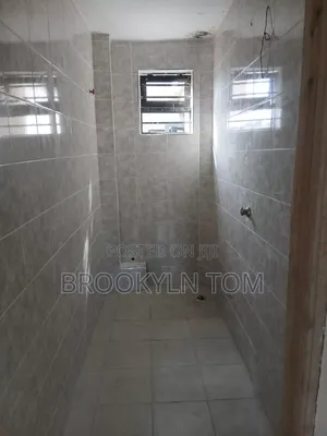 Professional Tile Fixing and Installation