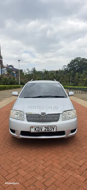 Toyota Corolla Fielder 2006 Silver