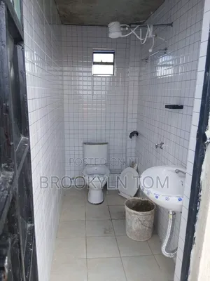 Professional Tile Fixing and Installation