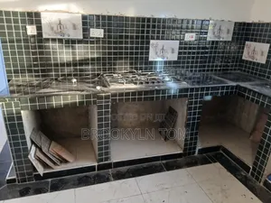 Professional Tile Fixing and Installation