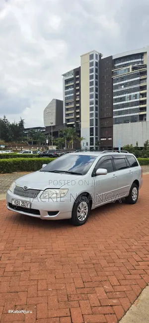Toyota Corolla Fielder 2006 Silver