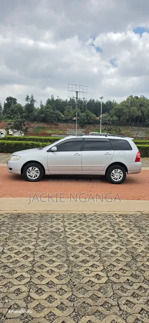 Toyota Corolla Fielder 2006 Silver
