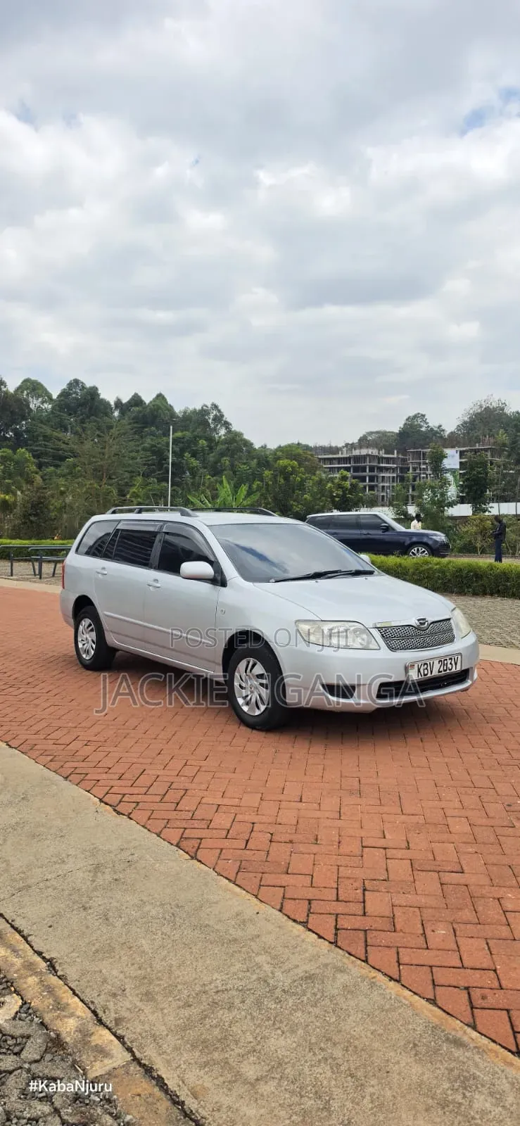 Toyota Corolla Fielder 2006 Silver