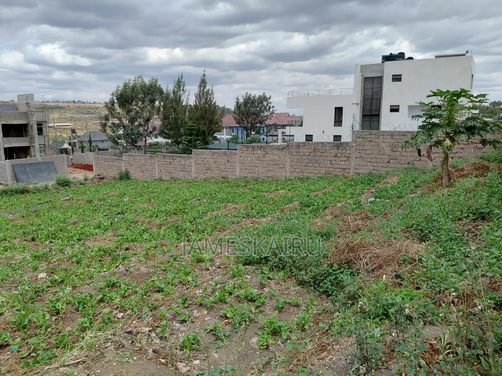 50*100 Plot in Mulolongo