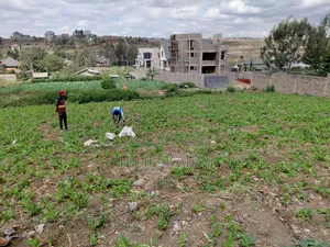 50*100 Plot in Mulolongo