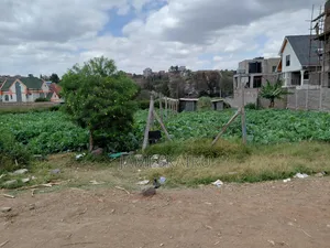 50*100 Plot in Mulolongo