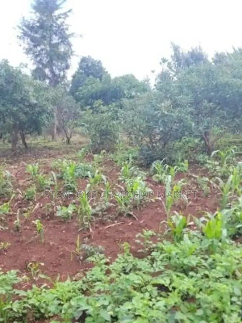 Ready Title Deed Prime 40×80 Plots for Sale in Ndenderu Next to Road
