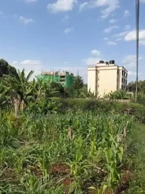Ready Title Deed Prime 40×80 Plots for Sale in Ndenderu Next to Road