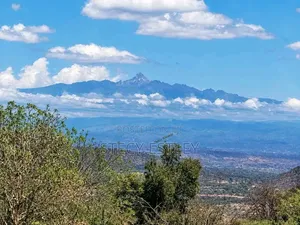Very Prime 2.5 Acres in Manyuki Just 5.6km From Quick Mart