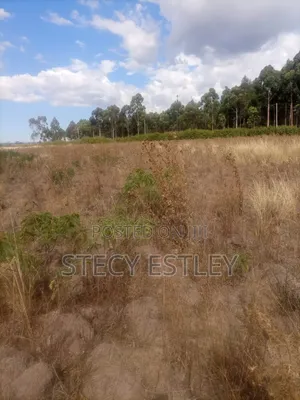 Very Prime 2.5 Acres in Manyuki Just 5.6km From Quick Mart