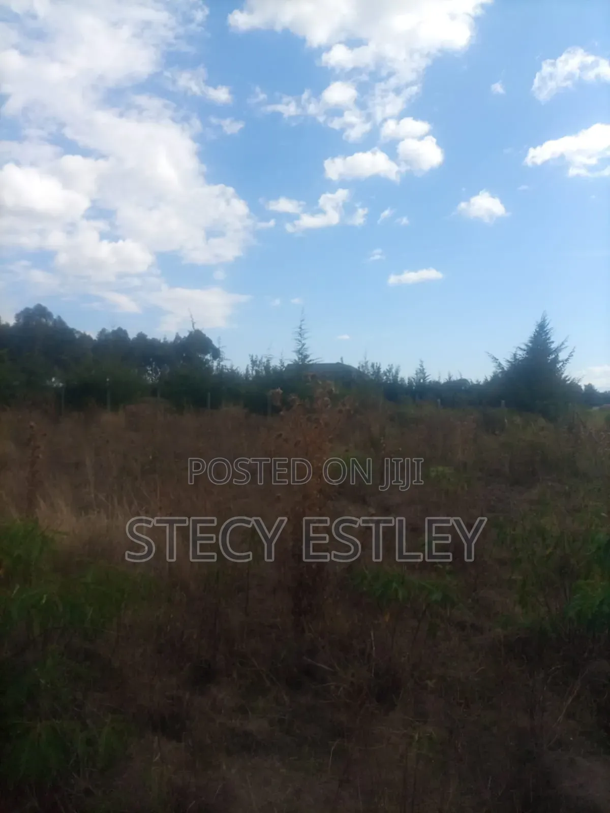 Very Prime 2.5 Acres in Manyuki Just 5.6km From Quick Mart